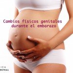 Los cambios físicos genitales durante el embarazo