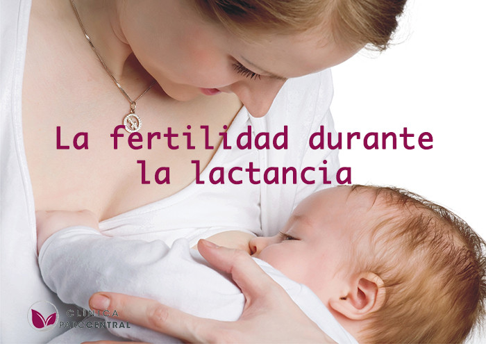 la fertilidad durante la lactancia